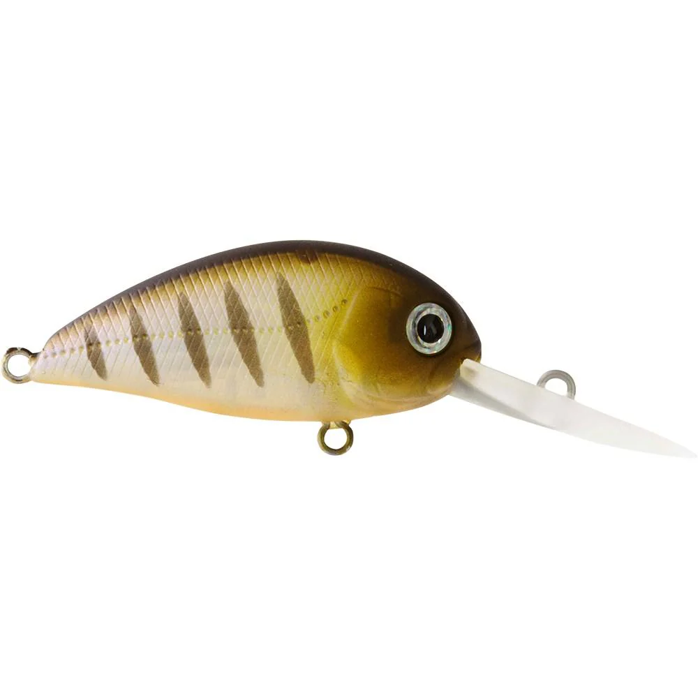 Atomic Hardz Crank 38 Lures - Image 16
