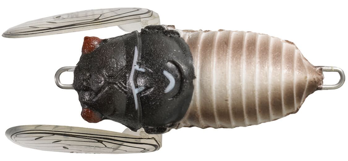 Tiemco Soft Shell Cicadas - Image 3